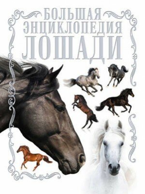 Лошади. Большая энциклопедия. Анна Спектор