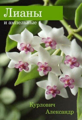 Лианы и ампельные. Александр Курлович