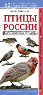 Птицы России. Наглядный карманный определитель. Ксения Митителло