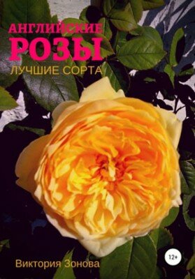Английские розы. Лучшие сорта. Виктория Зонова