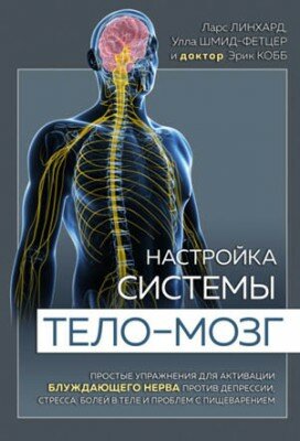 Настройка системы тело–мозг