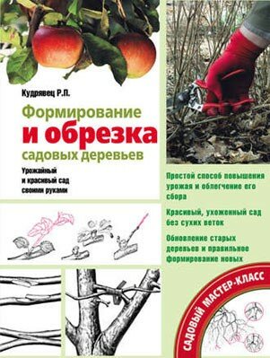 Формирование и обрезка садовых деревьев. Роман Кудрявец